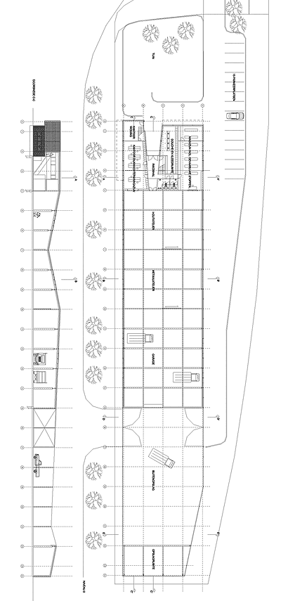 section and plan